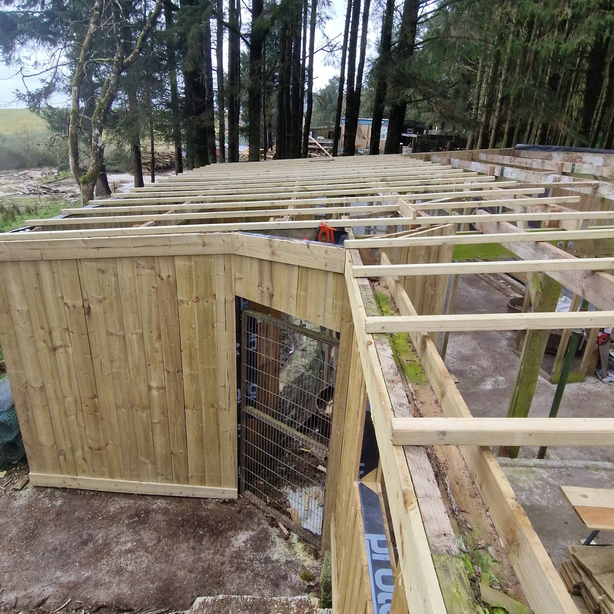 Flat Roofing project by RPG Carpentry & Joinery — photo 4